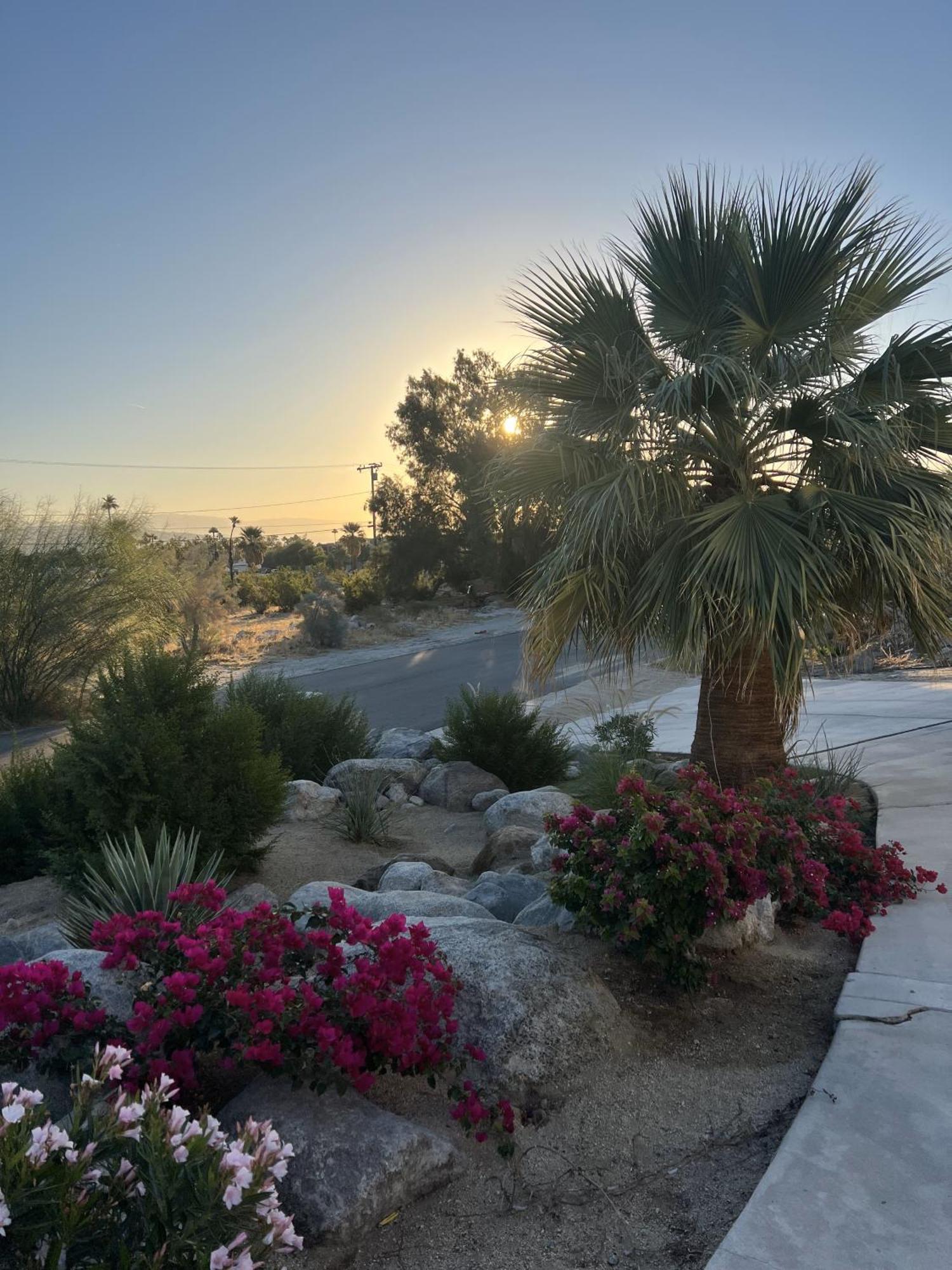 The Pink Paloma - A Barbie Inspired Villa In Palm Springs Exterior foto